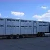 услуги перевозки скота, скотовозы в Краснодаре