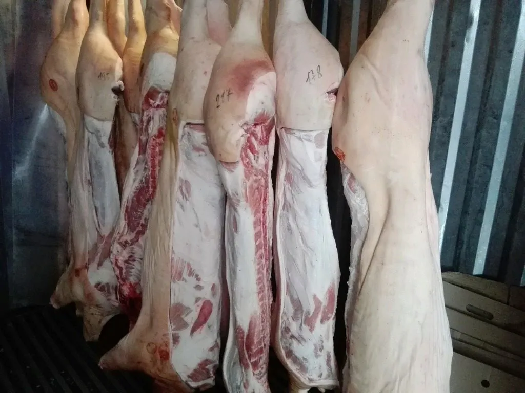 свинина  в полутушах. 198 р/кг в Омске