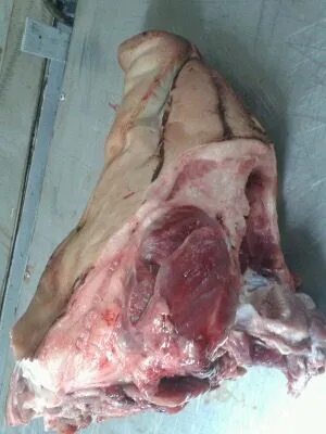фотография продукта Свиные головы