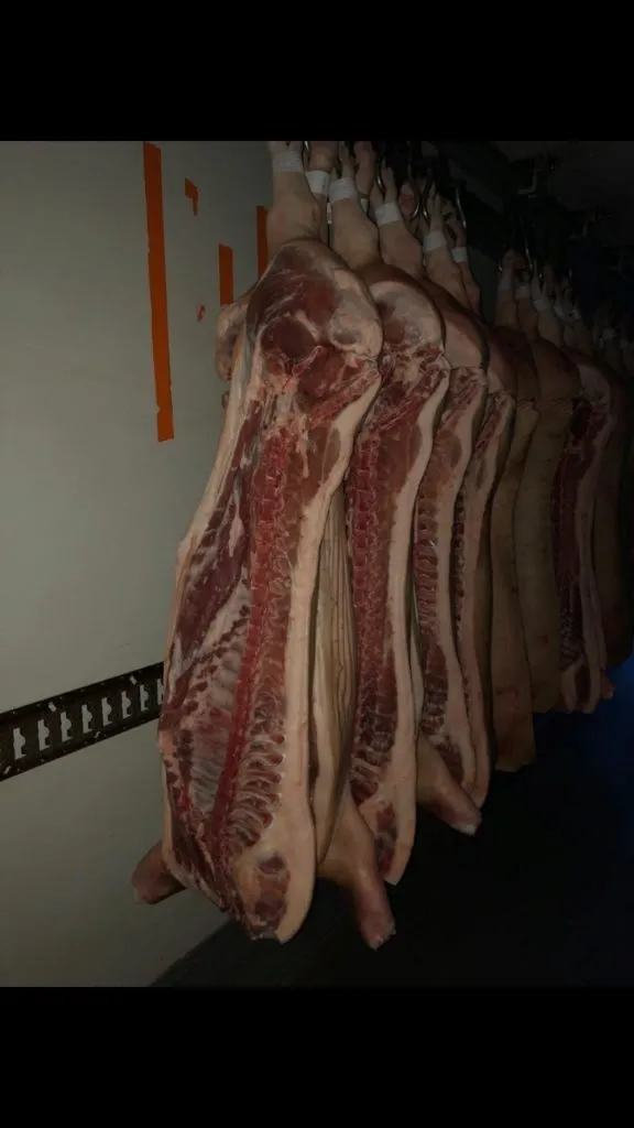 фотография продукта свинина