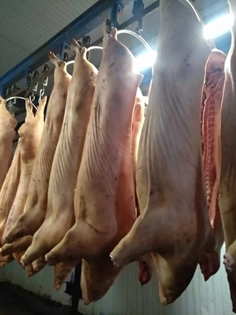 фотография продукта Мясо свинина охлажденная 185 р