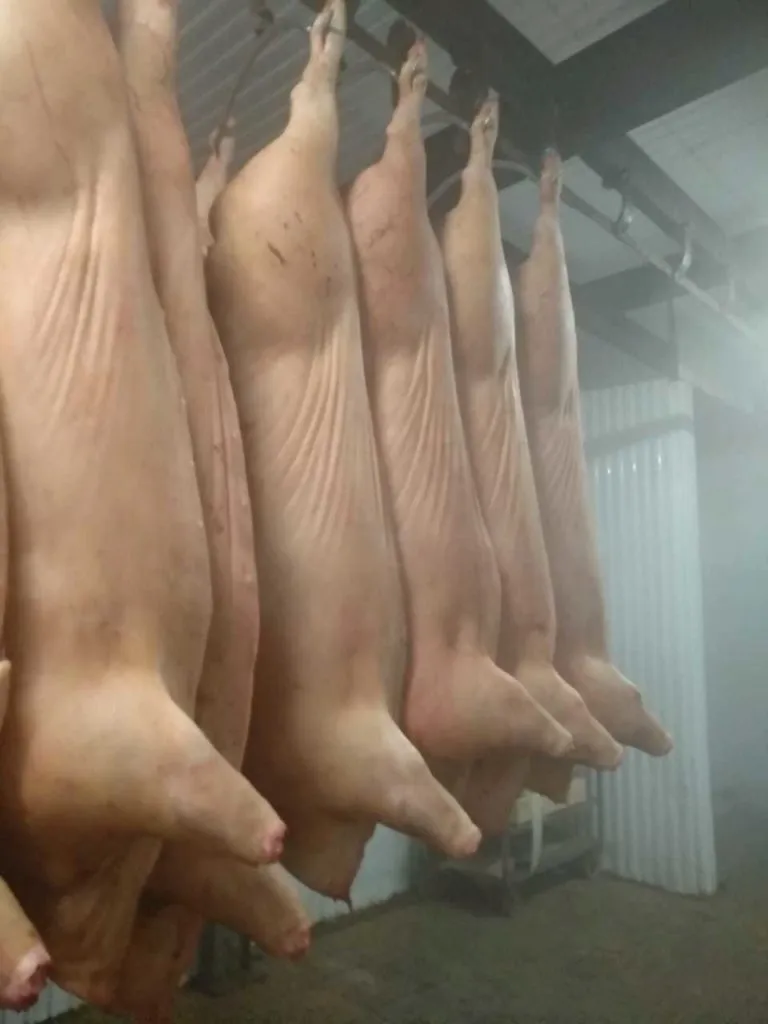 фотография продукта Мясо свинина замороженная 179 р