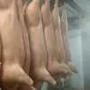 мясо Свинина 179 р в Уфе