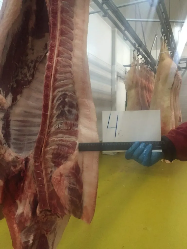  мясо свинины охлажденное в Уфе