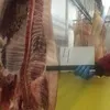  мясо свинины охлажденное в Уфе
