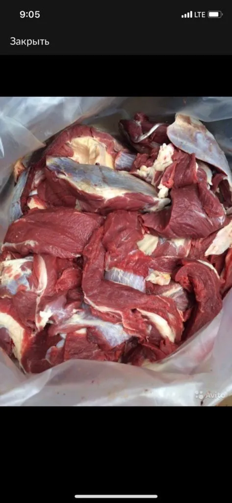 мясо говядины оптом в Москве