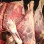продаем мясо говядины в Уфе