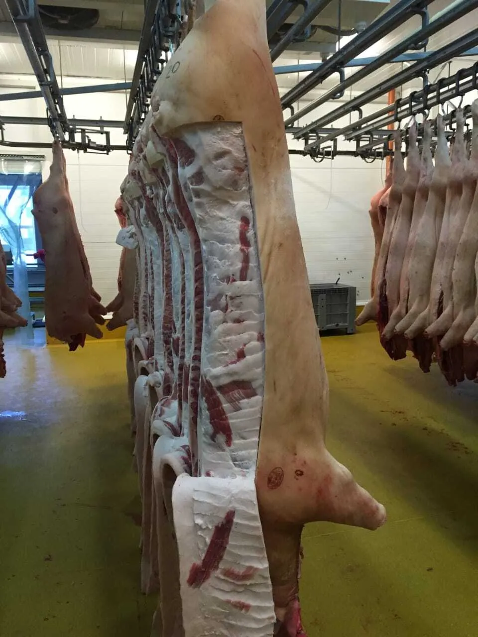  мясо свинины  в Уфе и Республике Башкортостан 4
