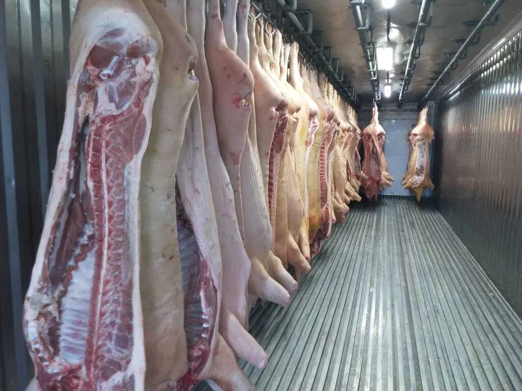 фотография продукта  мясо свинины 