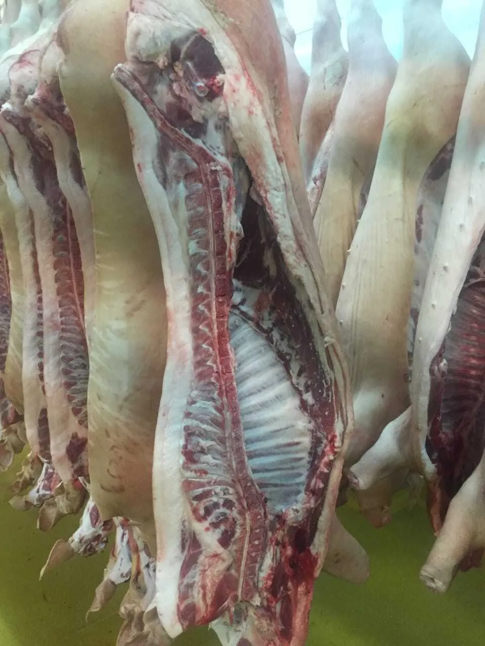  мясо свинины  в Уфе и Республике Башкортостан 2
